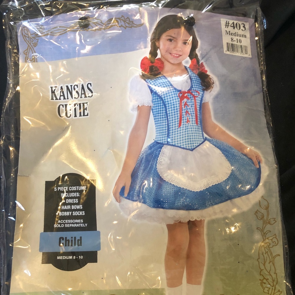 Dorthy from the wizard of oz costume